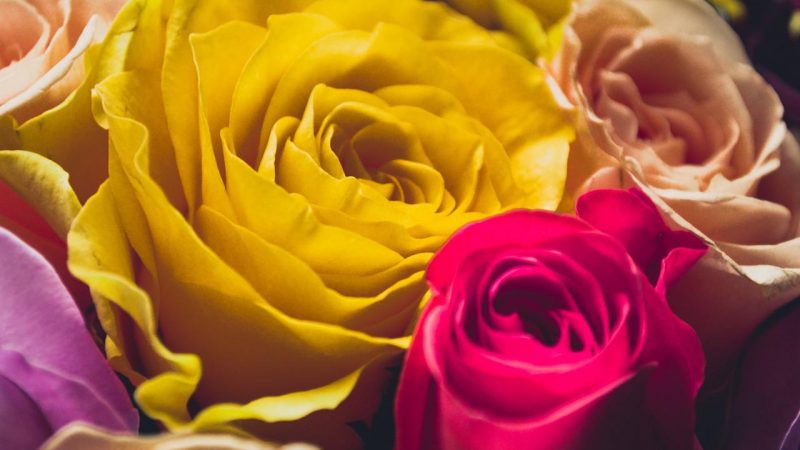 Najlepsze pomysły na prezent dla mamy