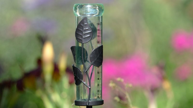 Jak zrobić deszczomierz samodzielnie?